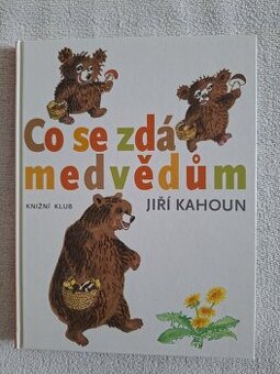 Kniha Co se zdá medvědům, Jiří Kahoun