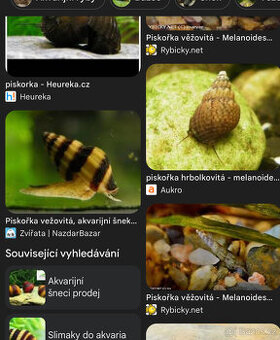 Šneci