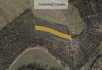 Prodej louky v k.ú. Cetechovice