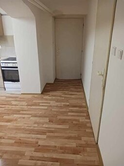 Pronajmu 2+1 se sníženými stropy NA STŘEKOVĚ