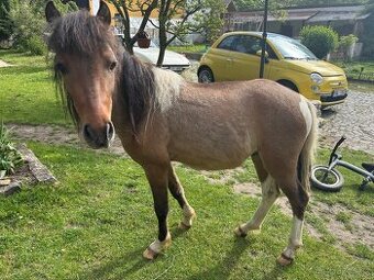 Mini hors - 1
