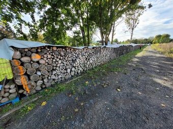 Prodám palivové dřevo, suché. listnaté stromy