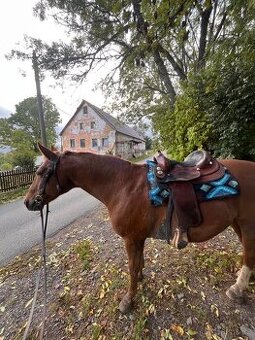 Westernové sedlo Diamond C