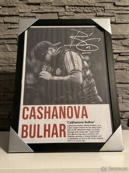 Cashanova Bulhar - Obraz s rámem💎