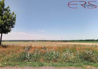 Pole, 22 918 m², Čelákovice, ev.č. 00602