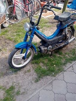 Prodám manet korado