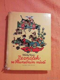 Neznalek ve slunečním městě