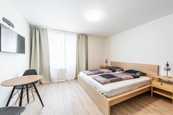 Cтильна 1kk для пари у Vinohrady.