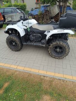Čtyřkolka goes 500 CF moto