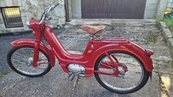 Jawetta 551