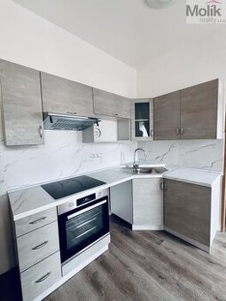 Pronájem bytu 2+1 59 m2