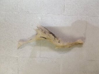 přírodní kořeny do akvária terária - 1