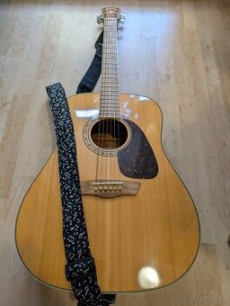 Kytara Washburn WD10S