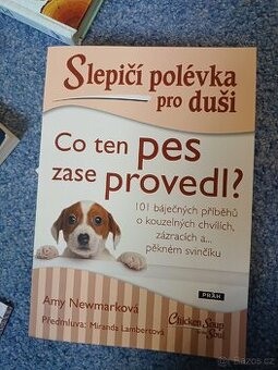 Slepici polévka pro duši