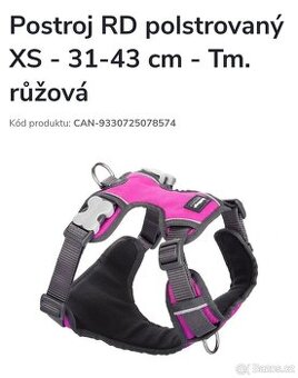Kšíry Red Dingo