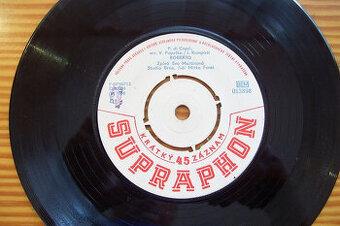 SP deska E.Martinová,V.Bláhová 1966-Roberto,Lásce/109/