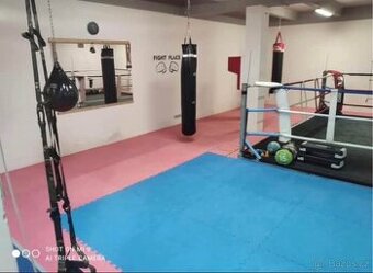 Pronajem telocvičny