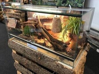 Terárium 120x50x50 s australským pozadím