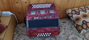 HARMONIKA DELICIA