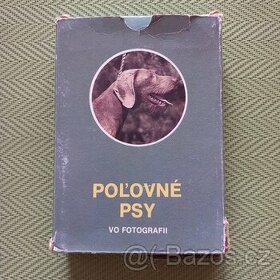 Lovecké psy ve fotografii