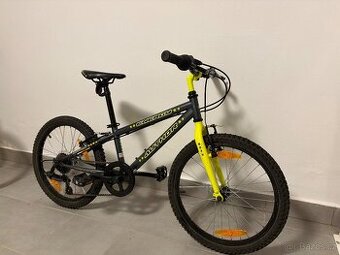 Kolo Author Energy 20”