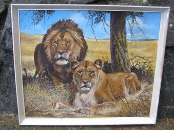 Lvi -Alert -Geoffrey William Backhouse -Olej na plátně