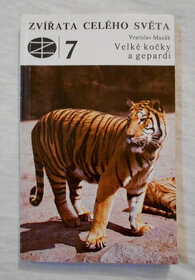 Velké kočky a gepardi - Zvířata celého světa 7 - 1980