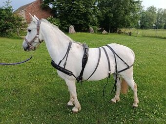 Postroj pony - 1