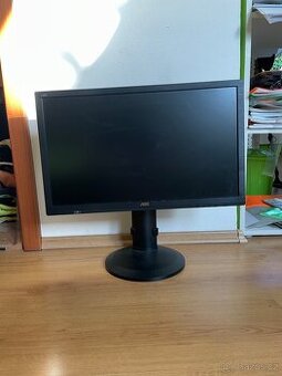 Monitory