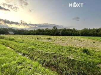 Prodej pozemek Bydlení, 10071㎡ - 1