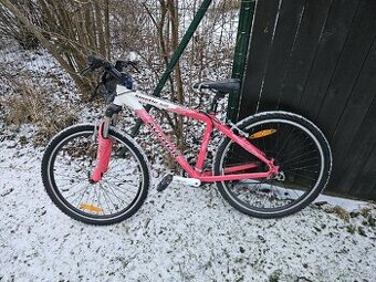 Dívčí kolo AUTHOR