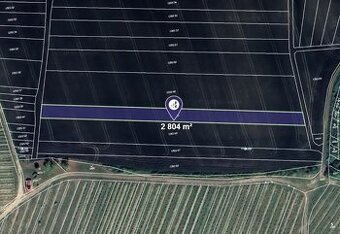 Prodej pole v k.ú. Starovičky, ev.č. 2025-08-15-4