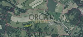 Aukce 1 ha lesních pozemků v k. ú. Velká Bukovina - 1