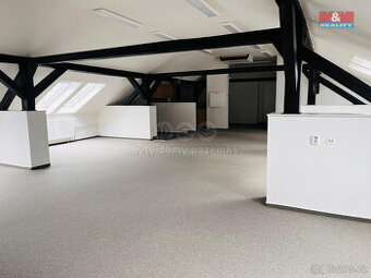 Prodej kanc. prostoru, 150 m², Ostrava, ul. Nemocniční