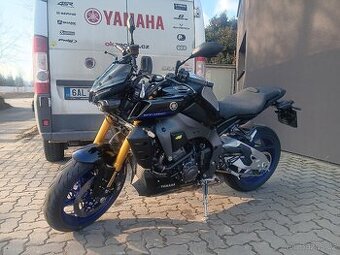 MT 10 SP 2024