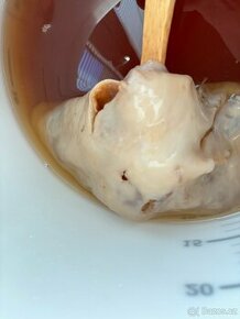 Kombucha