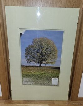 Rámeček na fotku 62 x 93