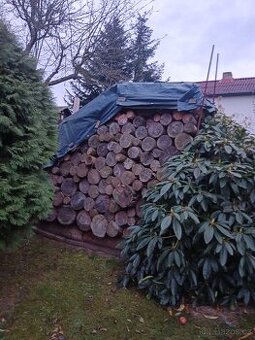 Palivové dřevo