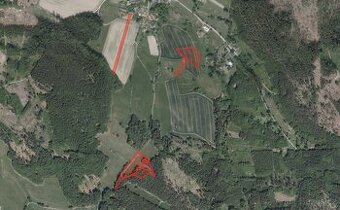 Zemědělská půda, prodej, Benetice, Světlá nad Sázavou, Havlí