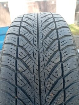 Zimní pneu Goodyear 205/55/16