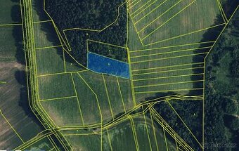 Prodej lesa v k. ú. Seloutky