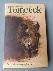 Hora hoří balada o Křížovém králi-Jaromír Tomeček