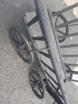 Starý řebřinak malý