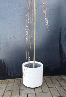 Betonový květináč