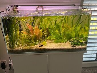 Akvarko rybicky skříň