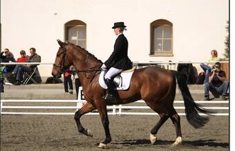 Velký drezurní obdelník 50 x 100 m