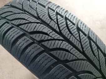 195/65 R15 PAXARO (2421)