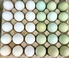 Domácí vajíčka - 1