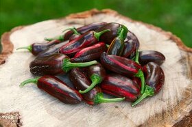 Chilli semena | Chilli papričky | Chilli semínka