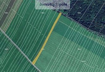 Prodej pole v k.ú. Vsetín
